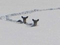 image001 07-43-56